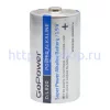 GoPower LR20 D BL2 Alkaline 1.5V арт. 131204