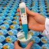 Testo 206-pH2 арт. 0563 2062