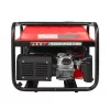 Felisatti FT3160 POWER 4000 арт. 